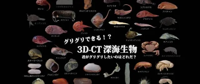 3D 深海生物